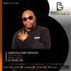 ESSENTIAL DEEP GROOVES